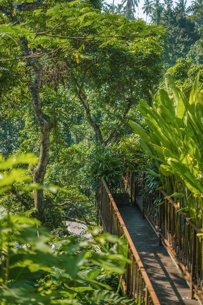 숙박 시설의 전망