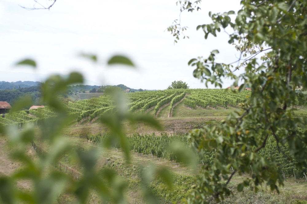숙박 시설의 전망