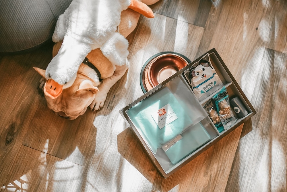 반려동물 동반 편의 시설