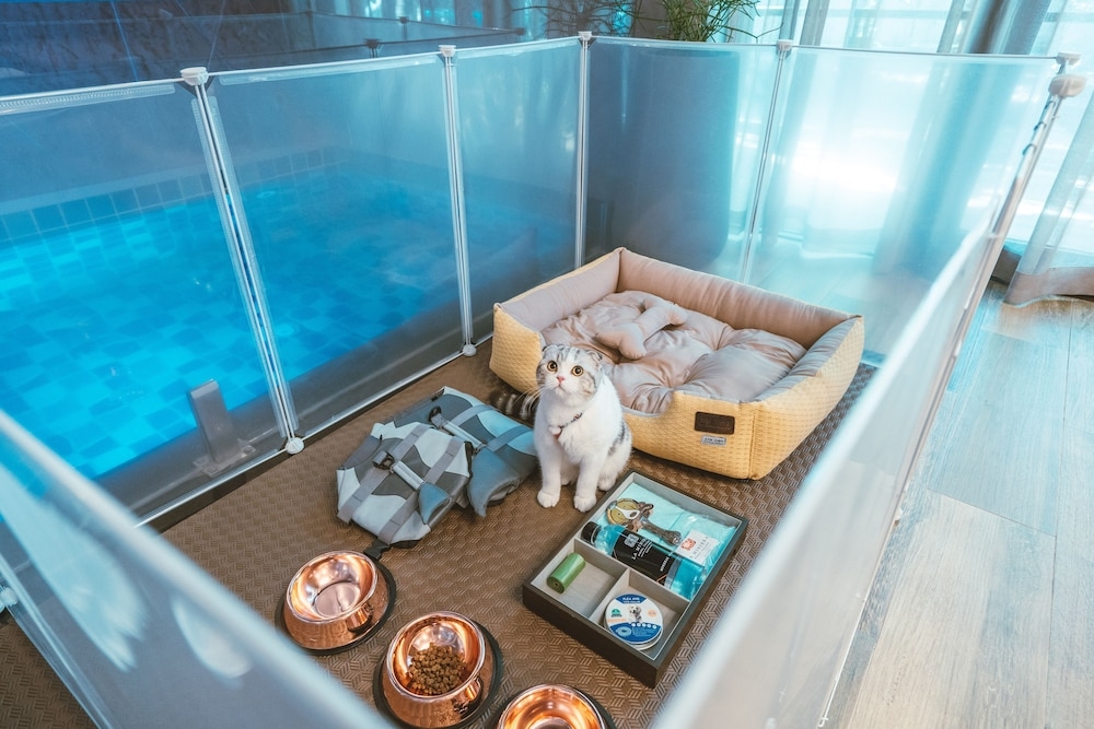 반려동물 동반 편의 시설