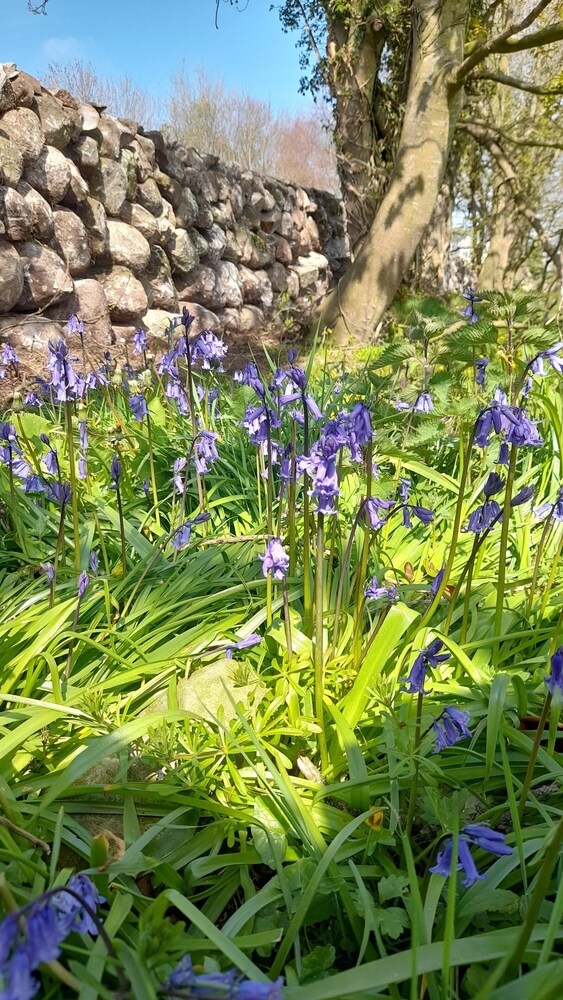 숙박 시설 구내