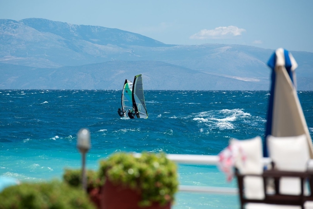서핑/부기 보드