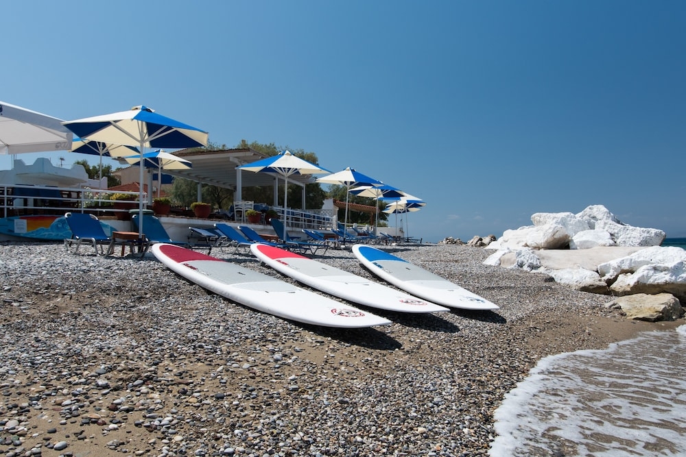 서핑/부기 보드