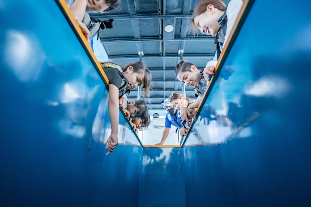 어린이 즐길거리