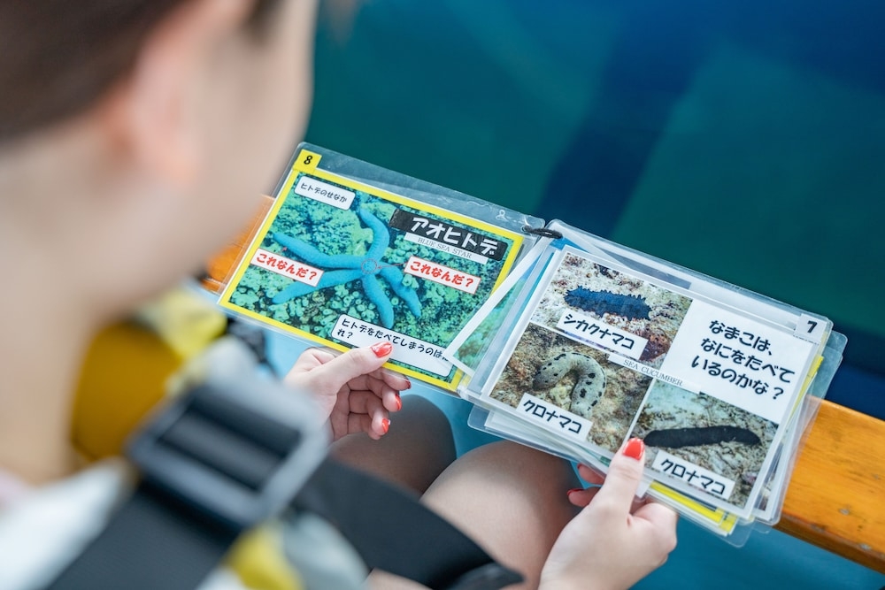 어린이 즐길거리