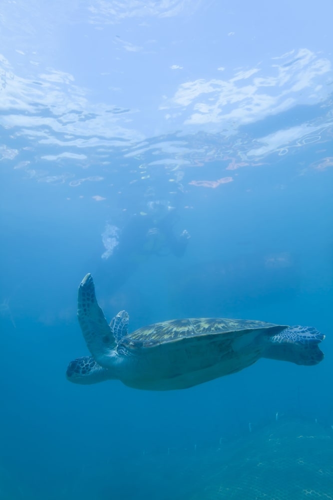 숙박 시설 내 편의 시설/서비스