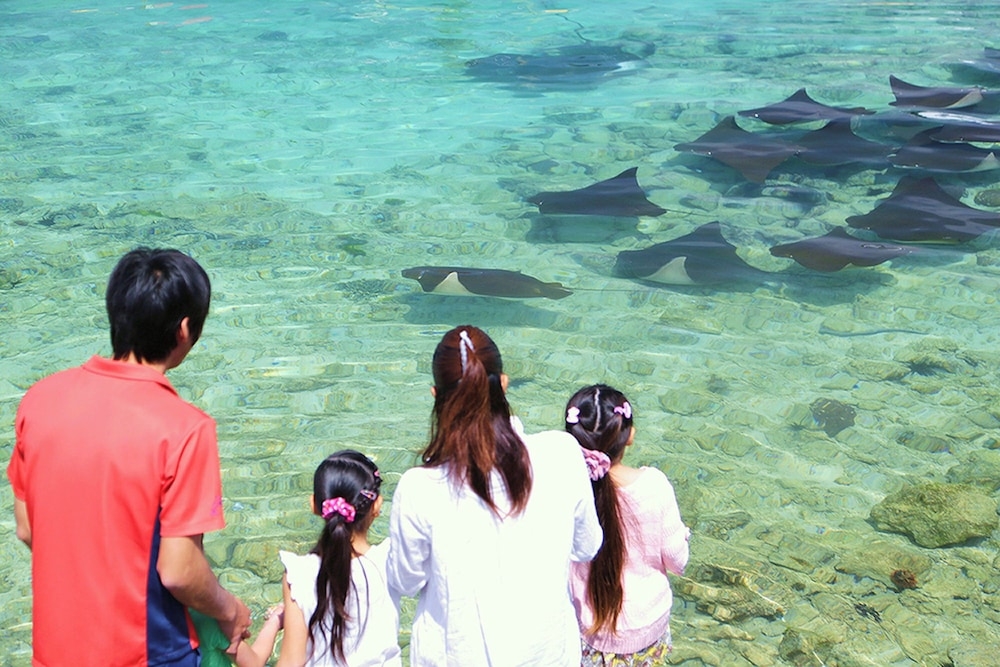 숙박 시설 내 편의 시설/서비스