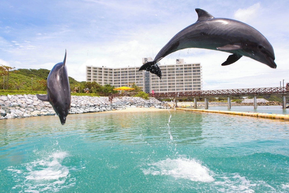 숙박 시설 내 편의 시설/서비스