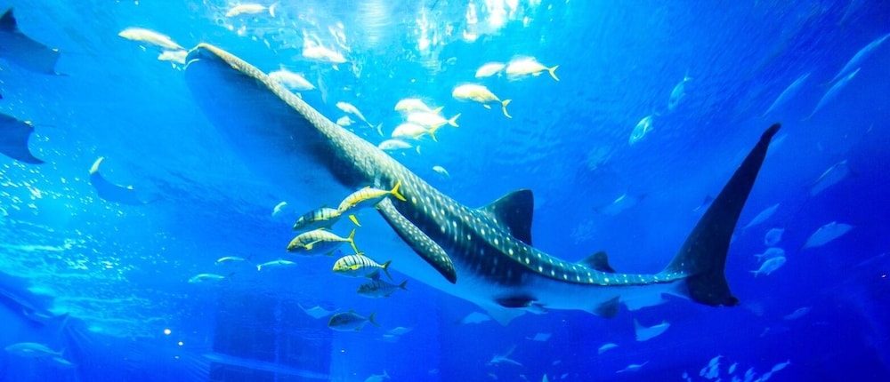 숙박 시설에서 보는 주변 전망