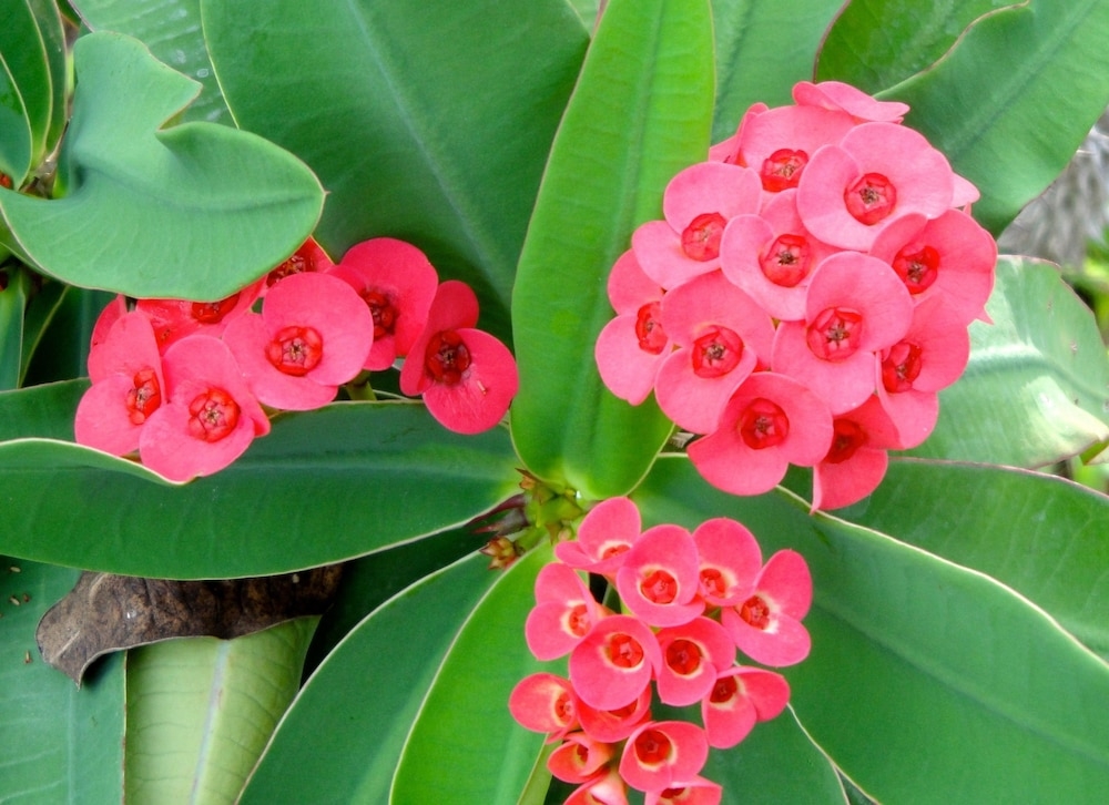 숙박 시설의 전망