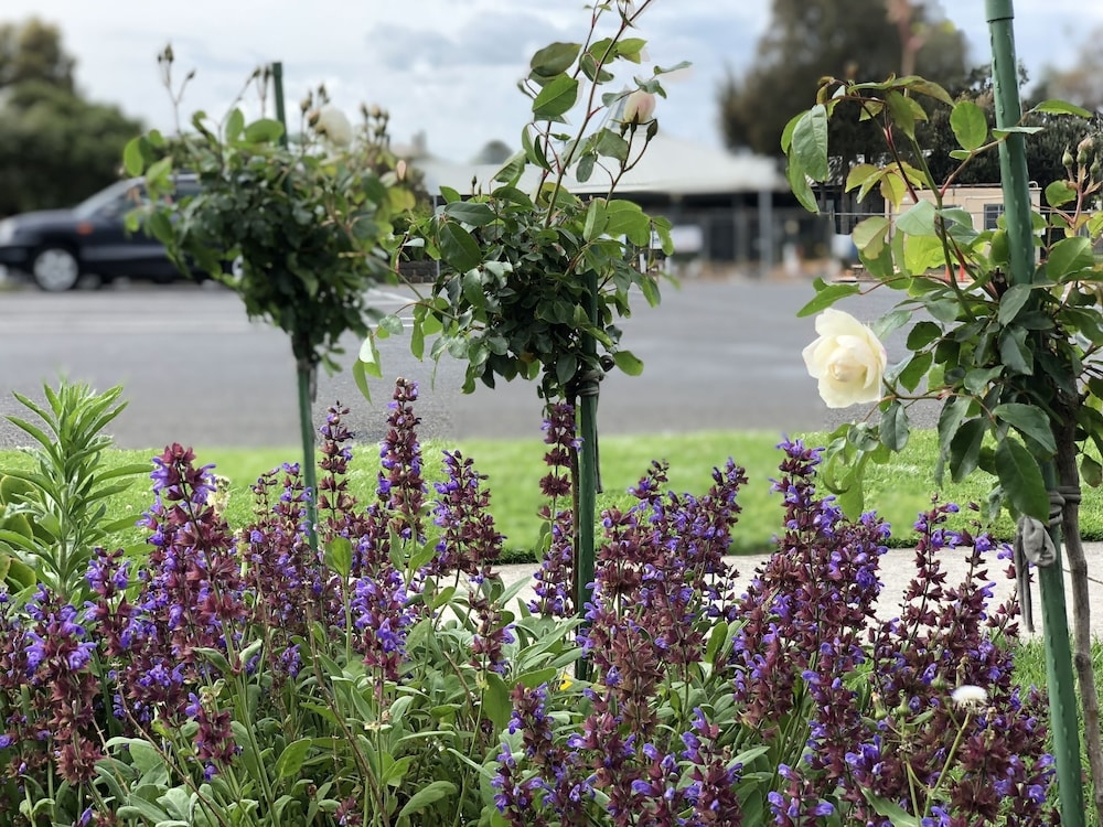 숙박 시설 구내