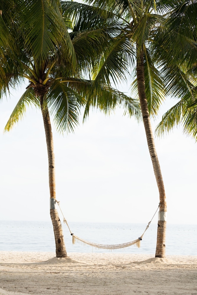 객실에서 보이는 전망