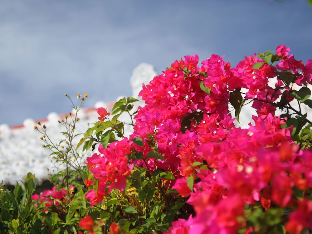 숙박 시설의 전망