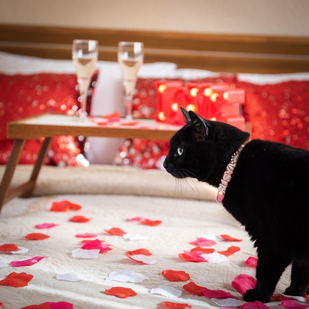 내부 세부 사진