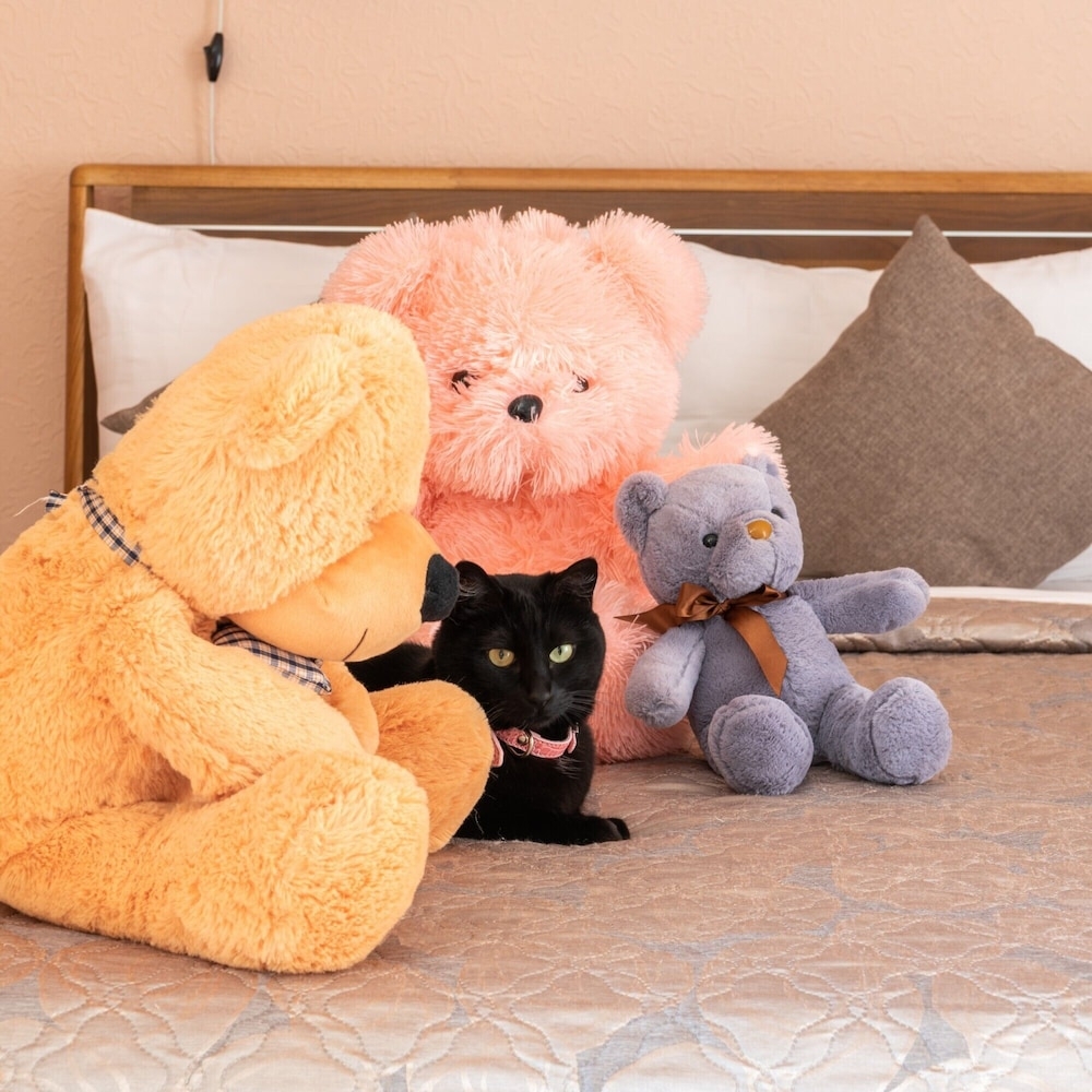 내부 세부 사진