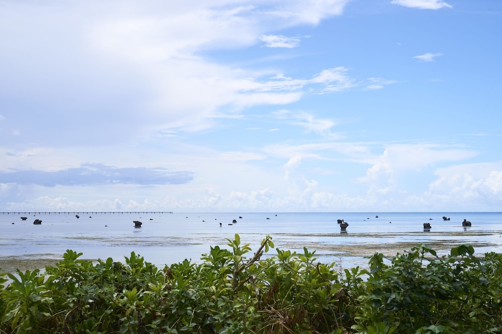 객실에서 보이는 전망