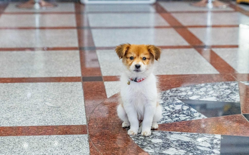 내부 세부 사진