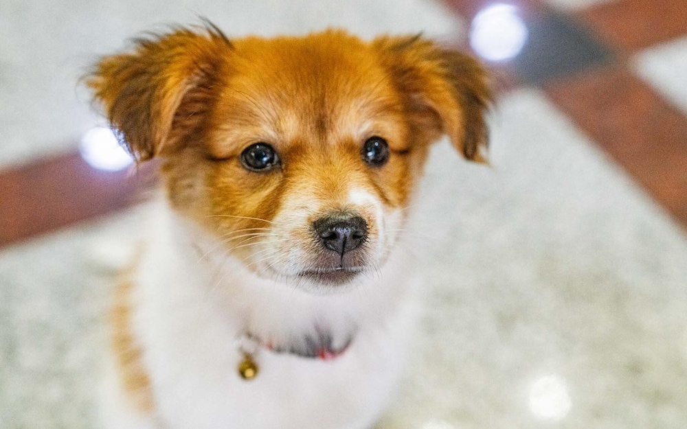 내부 세부 사진