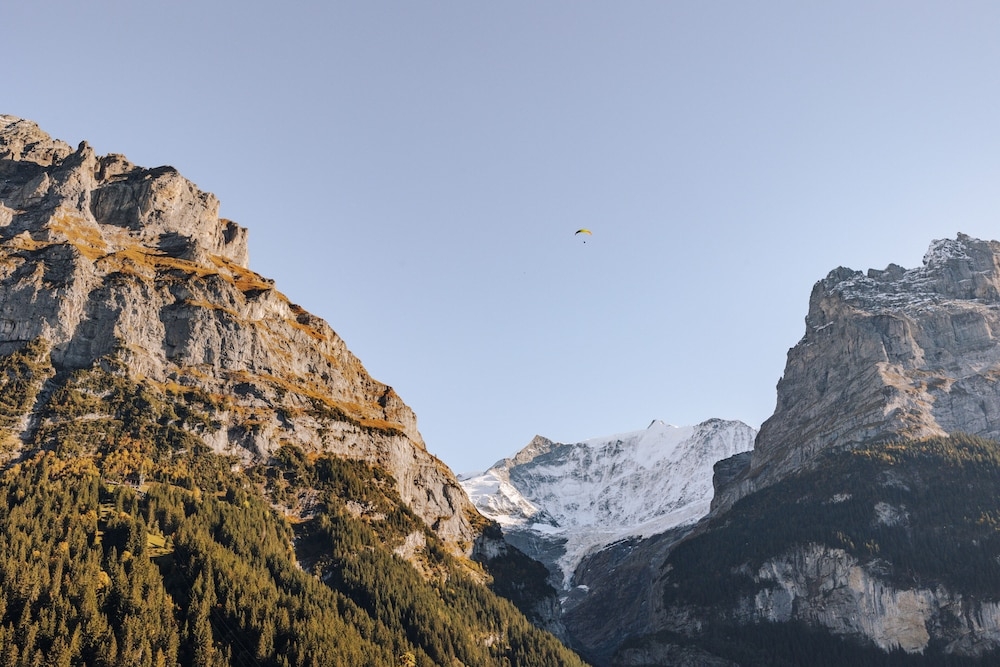 객실에서 보이는 전망