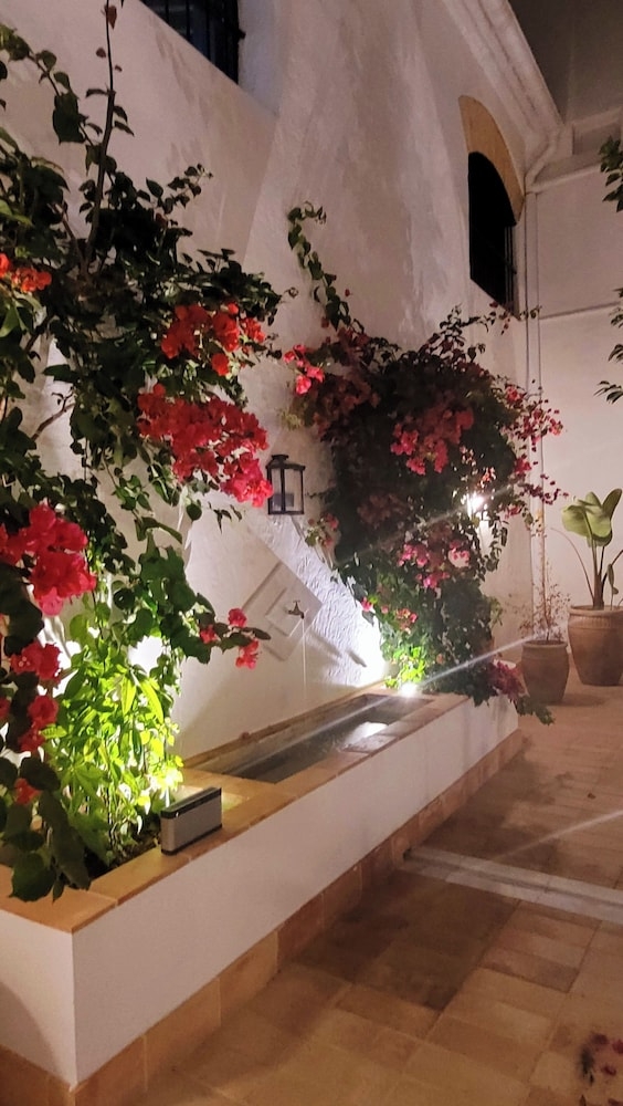 객실에서 보이는 전망