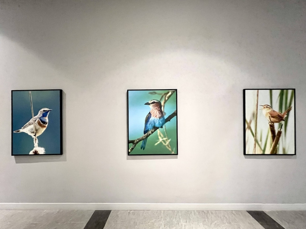 내부 세부 사진