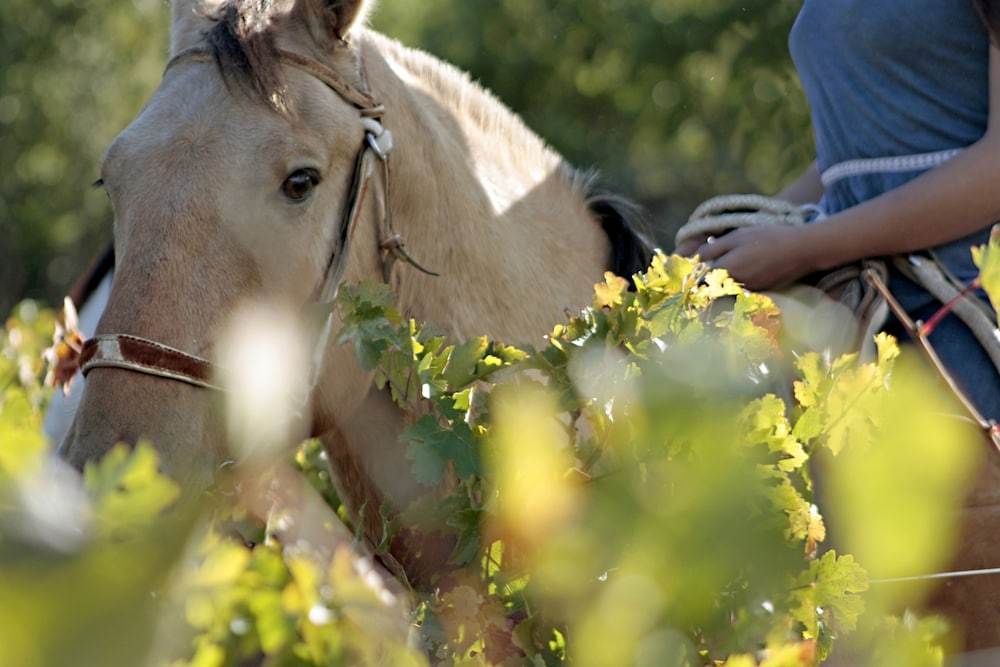 숙박 시설 구내