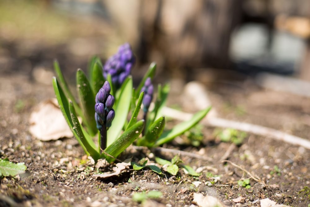 숙박 시설의 전망