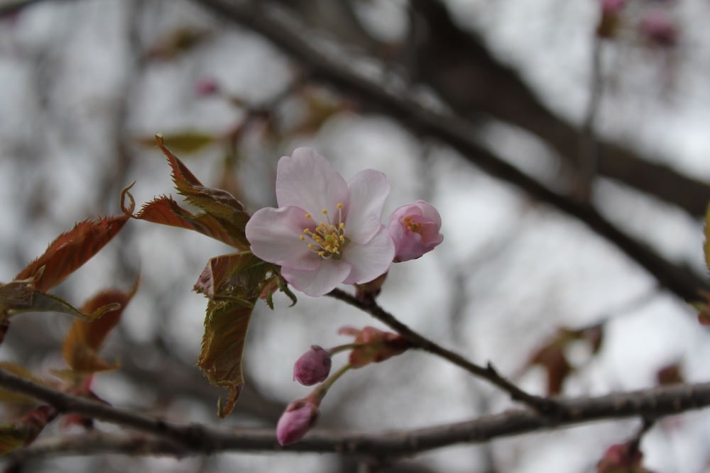 숙박 시설의 전망