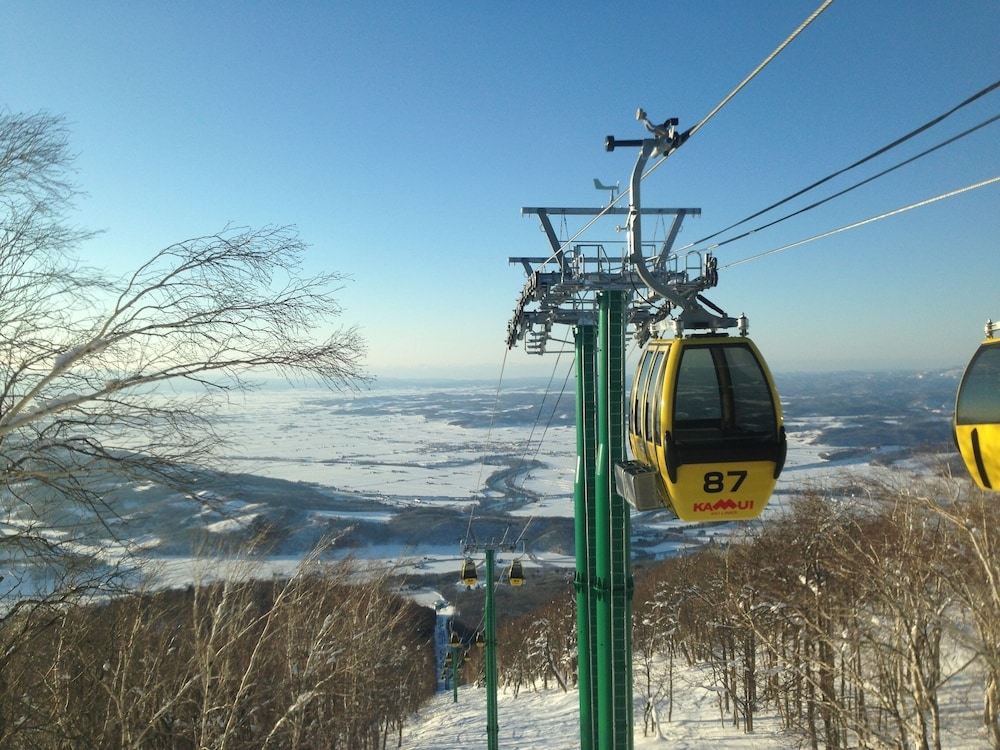 스키 및 겨울 스포츠