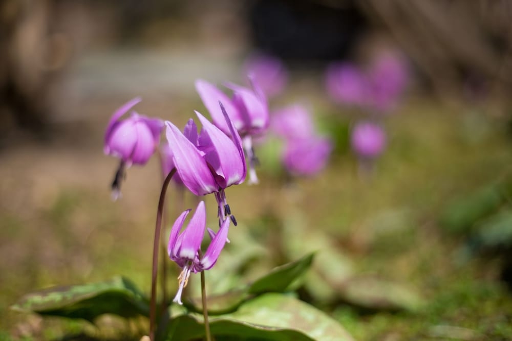 숙박 시설의 전망
