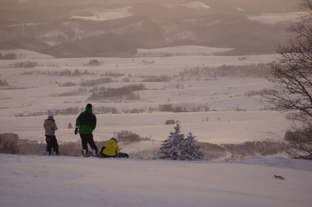 스키 및 겨울 스포츠