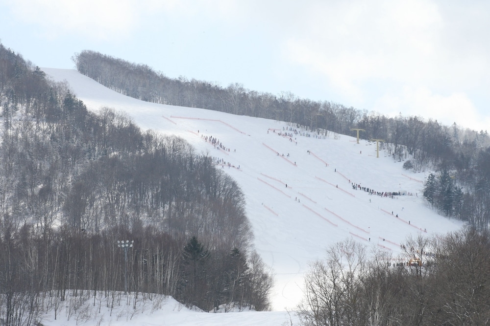 스키 및 겨울 스포츠