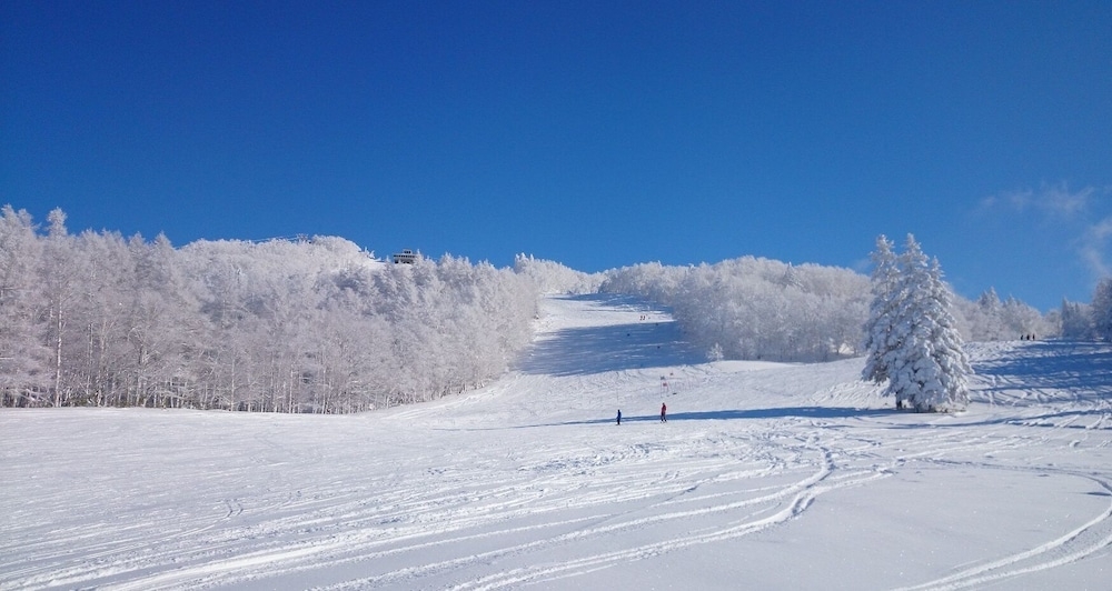 스키 및 겨울 스포츠