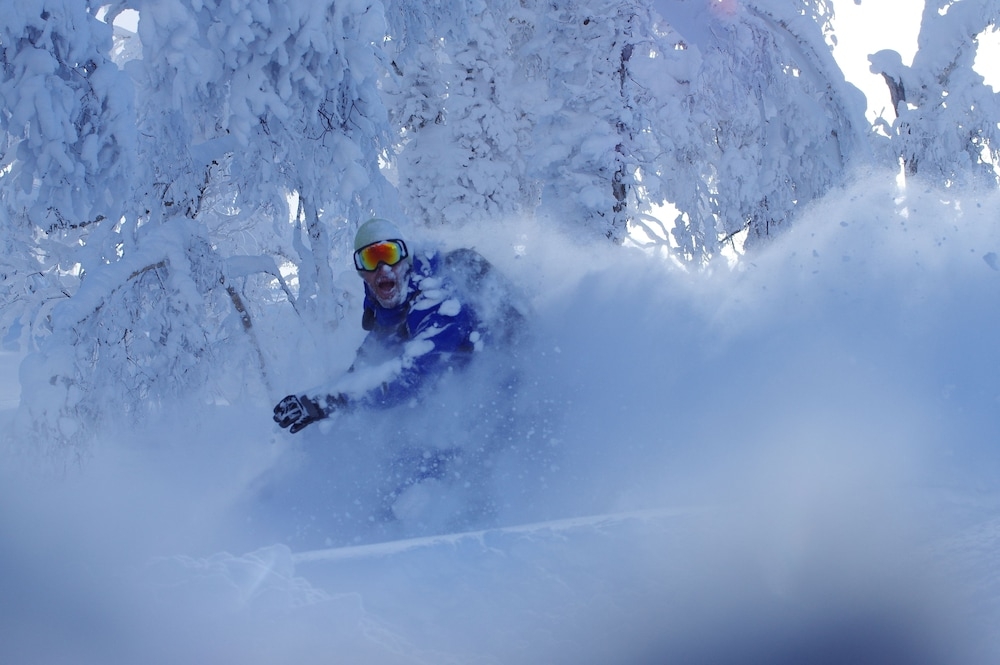 스키 및 겨울 스포츠