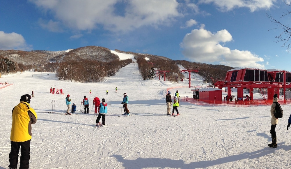스키 및 겨울 스포츠