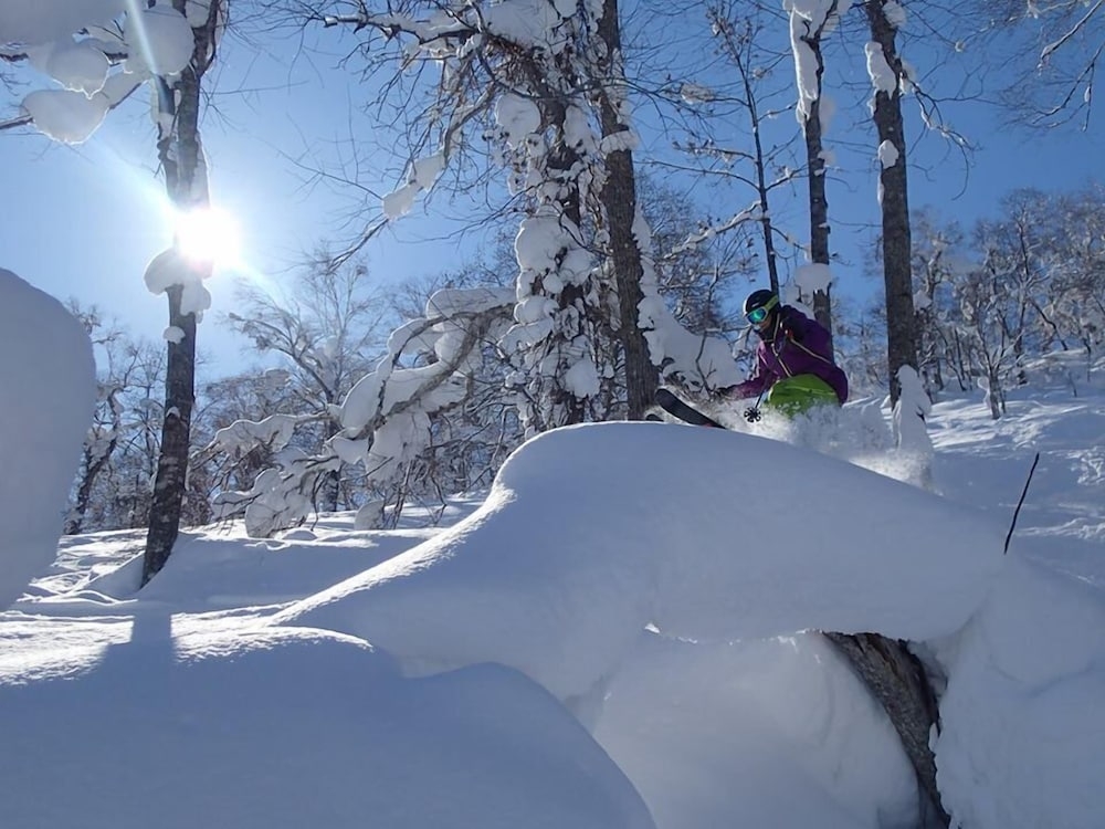 스키 및 겨울 스포츠