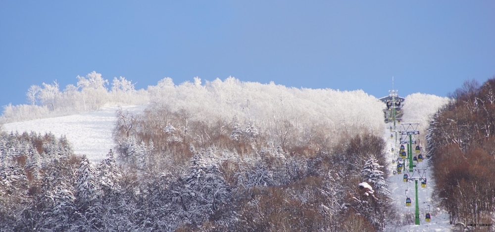 스키 및 겨울 스포츠