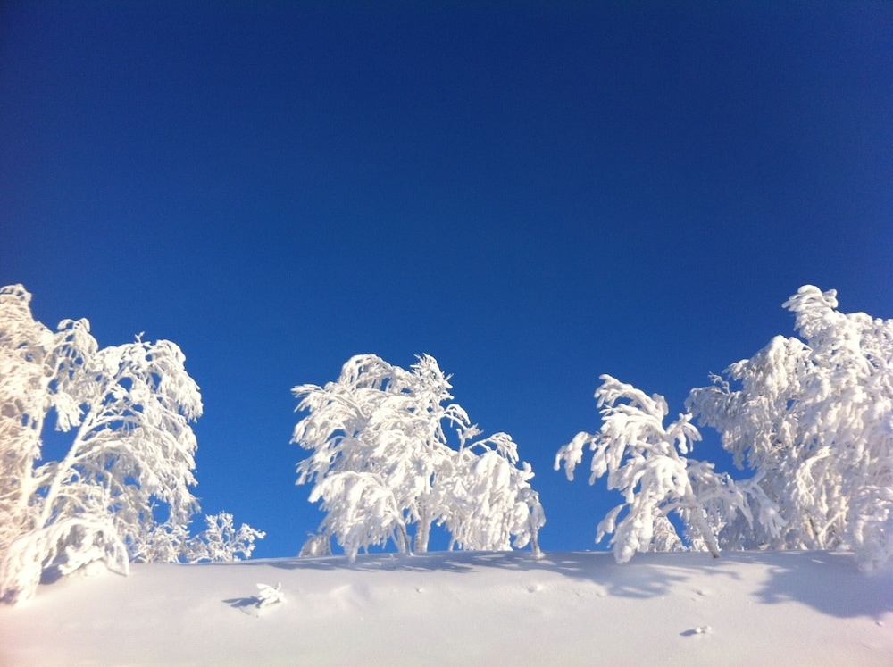 스키 및 겨울 스포츠