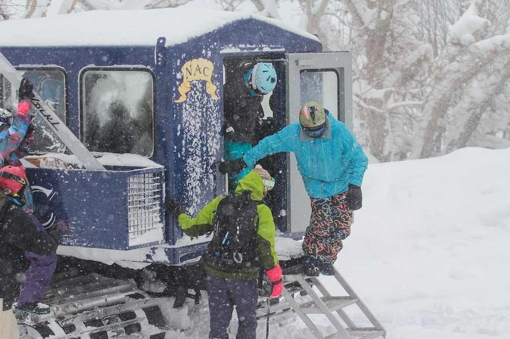 스키 및 겨울 스포츠