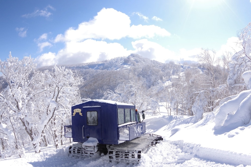 스키 및 겨울 스포츠
