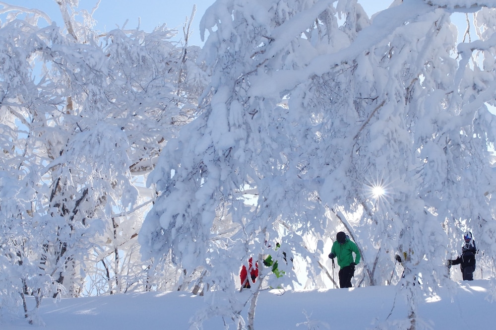 스키 및 겨울 스포츠