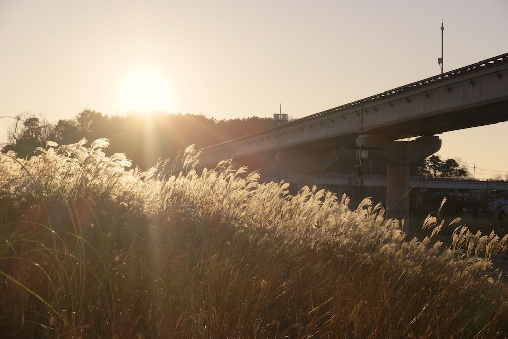 숙박 시설의 전망