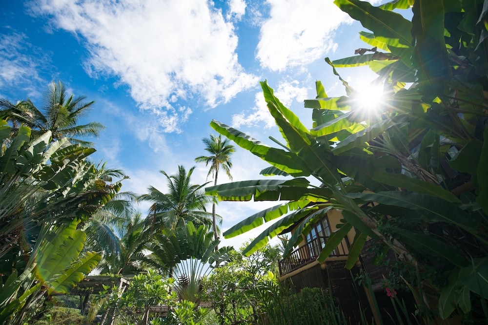 숙박 시설 내 편의 시설/서비스