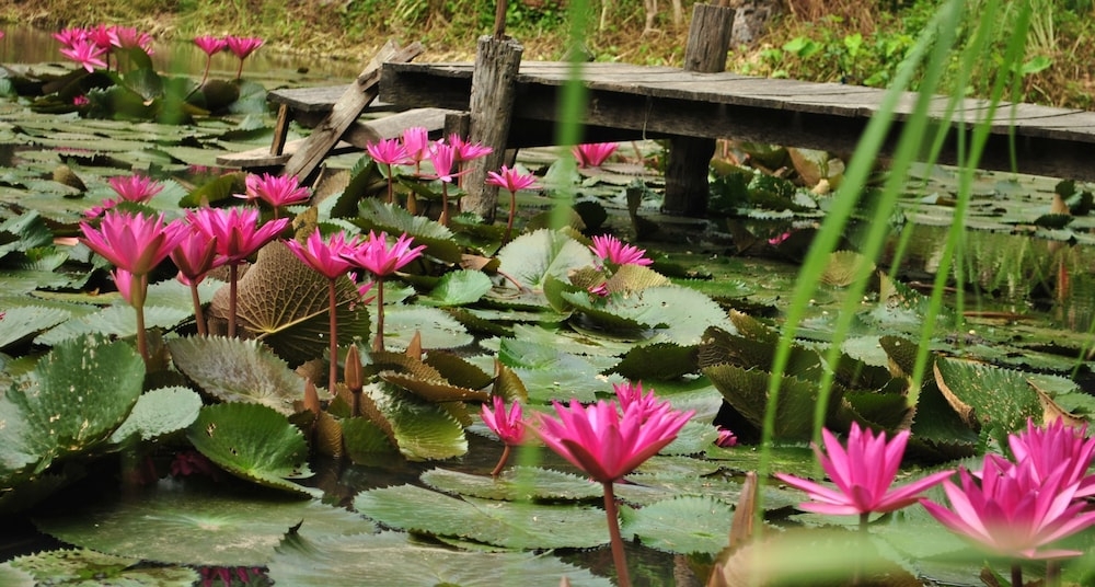 숙박 시설 구내
