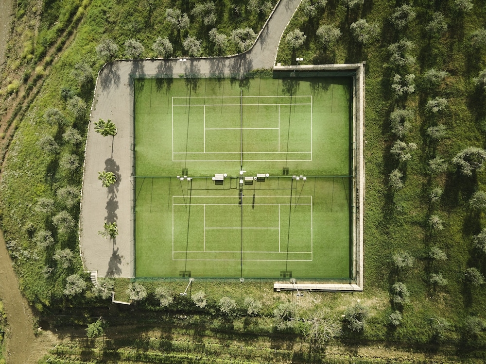 테니스 코트