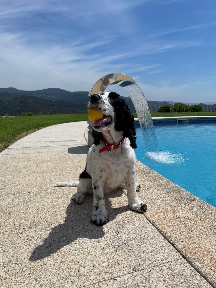 반려동물 동반 가능