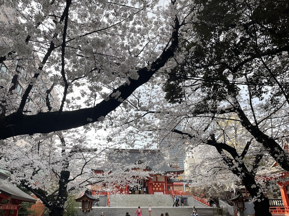 숙박 시설에서 보는 시내 전망