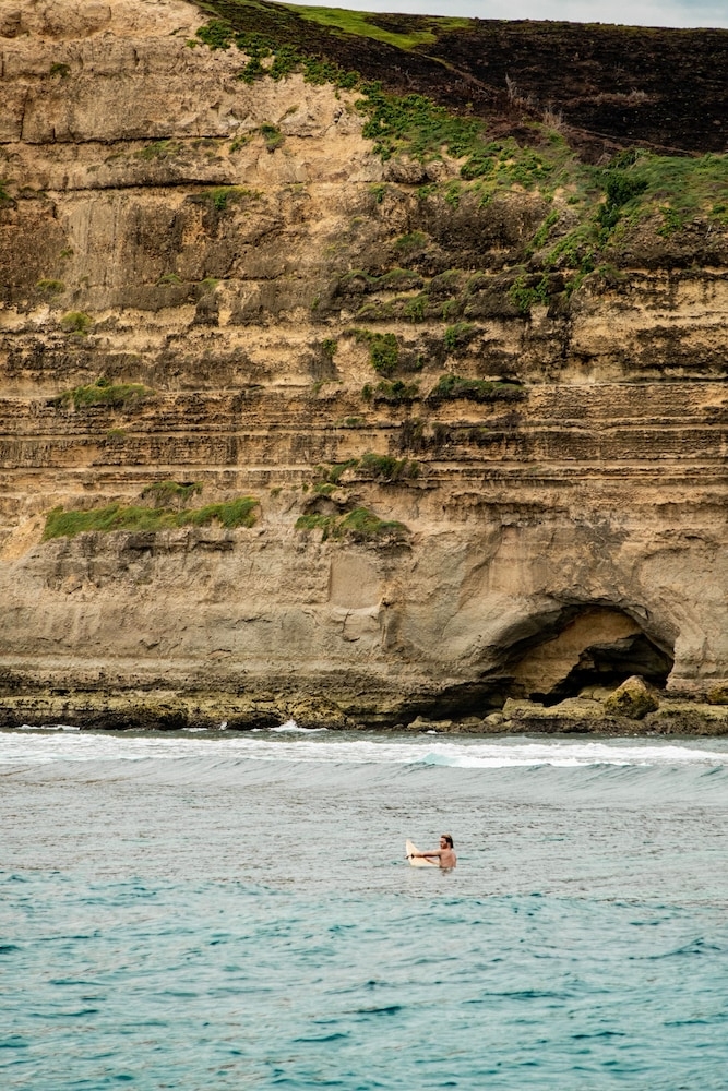 서핑/부기 보드