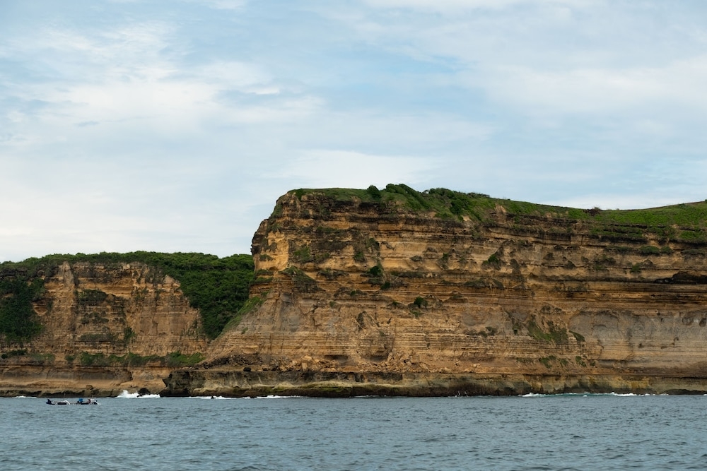 서핑/부기 보드