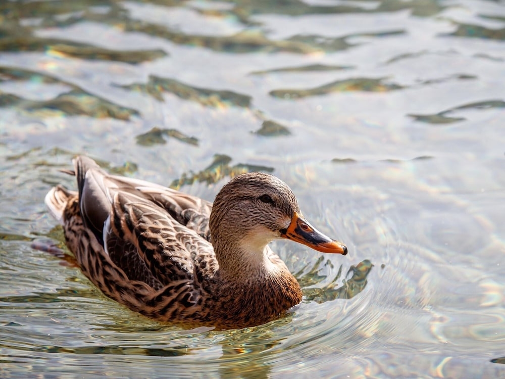 숙박 시설의 전망